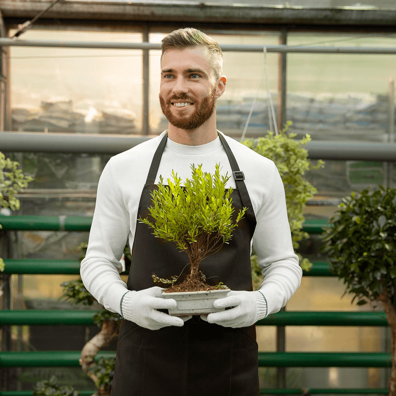 persona-plant-new